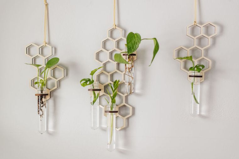Propagation Station