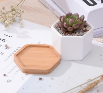 hexagon succulent planter Small Hexagon Planter – Luxe Little Things