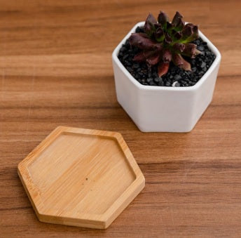 Small Hexagon Planter