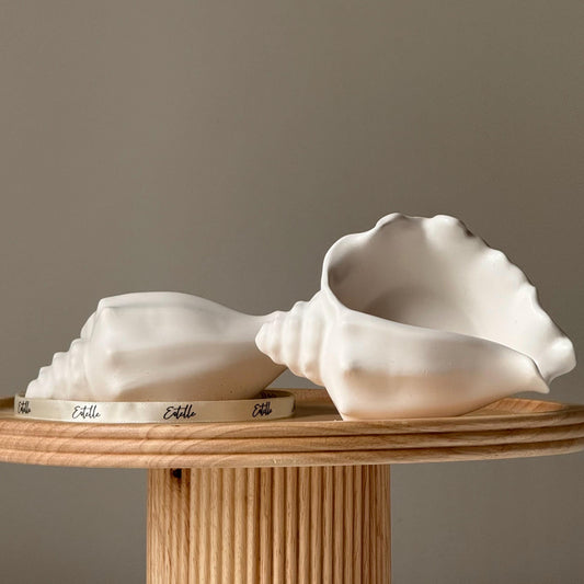 Conch Shell Trinket Tray