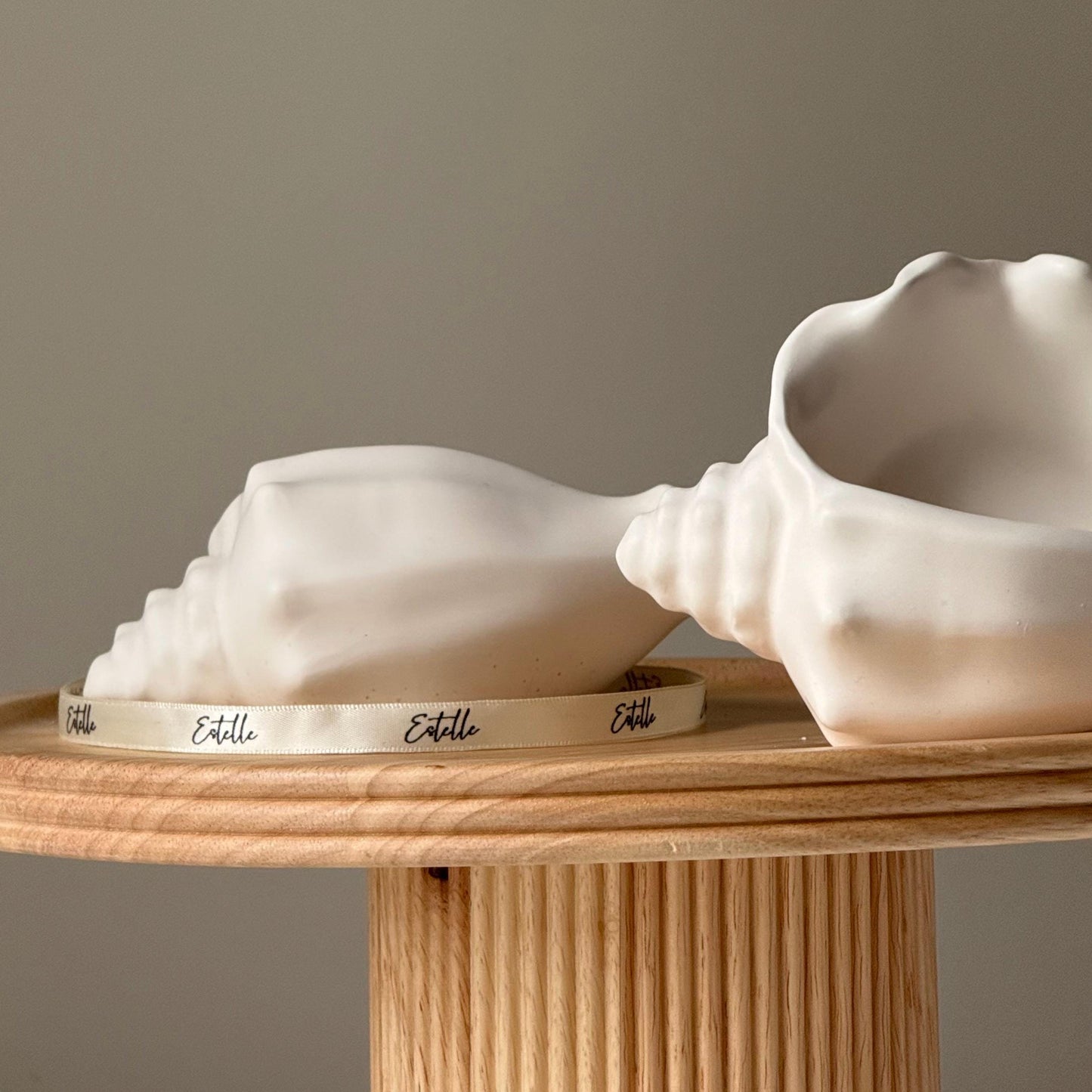 Conch Shell Trinket Tray