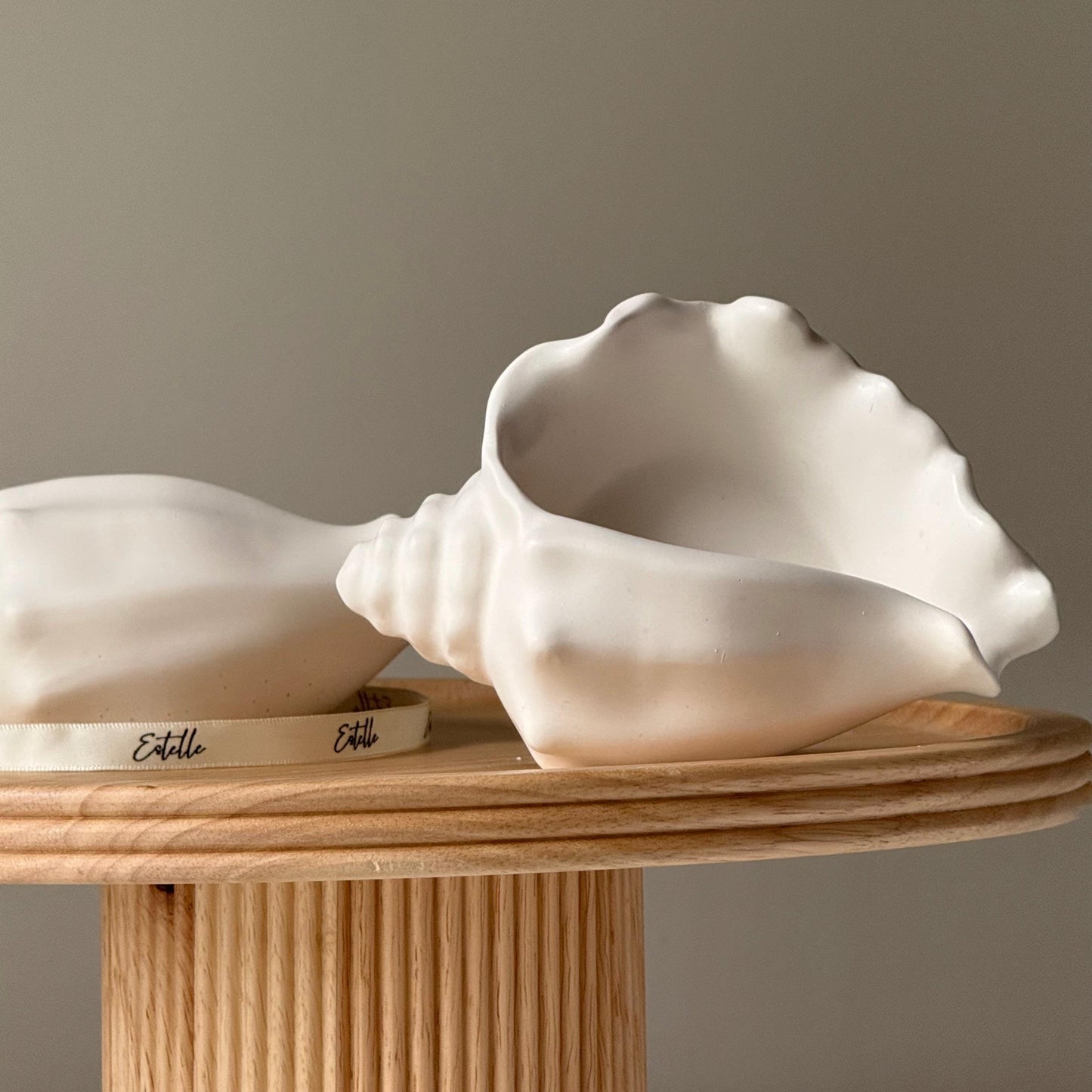 Conch Shell Trinket Tray
