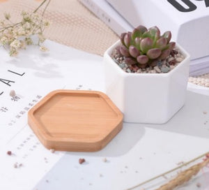 Small Hexagon Planter