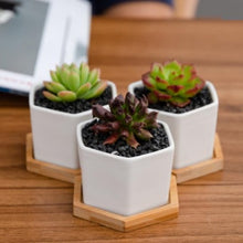 Load image into Gallery viewer, Small Hexagon Planter
