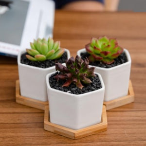 Small Hexagon Planter