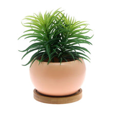 Load image into Gallery viewer, Small Round Planter, Salmon Pink
