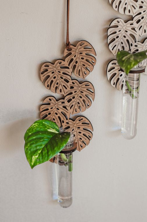 Hanging Propagation Station in Honeycomb Pattern with Test Tube and Pictured with Growing Plant, Close Up