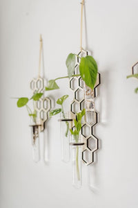 Two Hanging Triple Propagation Stations in Honeycomb Design with Test Tubes and Pictured with Growing Plants